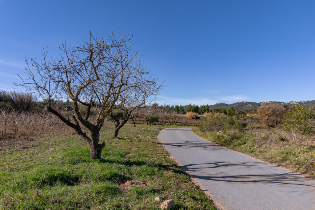 Rapha Festive 500:  okolice Canaletes.