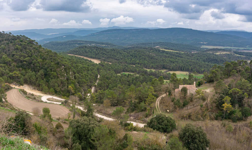 Ostatni odcinek podjazdu pod zamek (widok z góry).