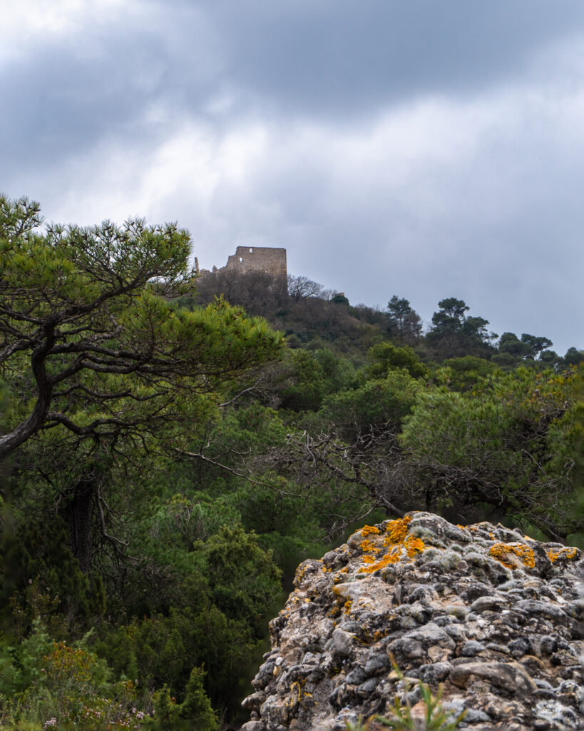 Castell de Queralt widziany od północy